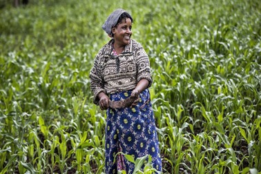 CRÉDIT PAYS AGRICOLE (CCA)